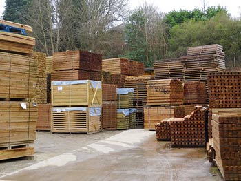 Timber Posts and Fence Panels in our Yard Facility