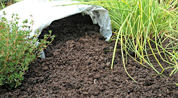 Topsoil and Bark