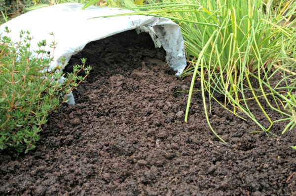 Top Soil and Bark