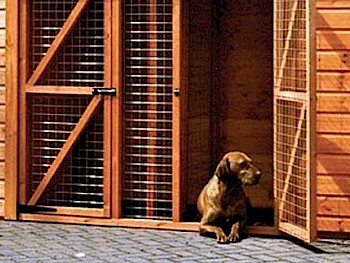 Dog Kennels