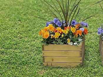 Planters