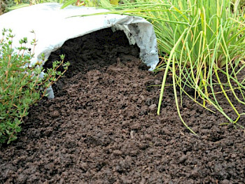 Top Soil and Bark